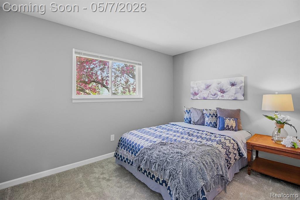 30022 Midfield Drive, New Haven, MI 48048 — Photo 11