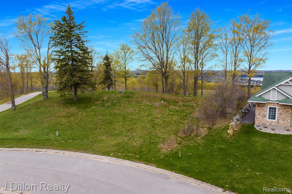 Lot 16 Wild Laurel Lane, Beulah, MI 49617 — Photo 5