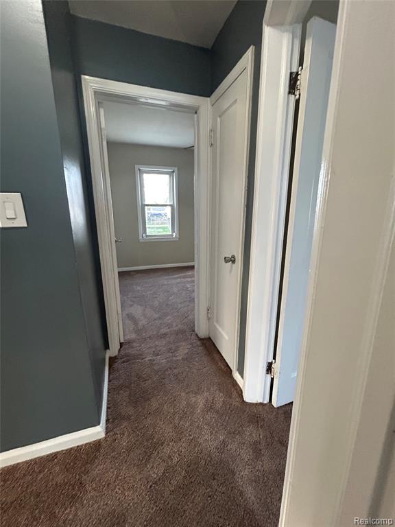 3911 20th Street, Wyandotte, MI 48192 — Photo 20