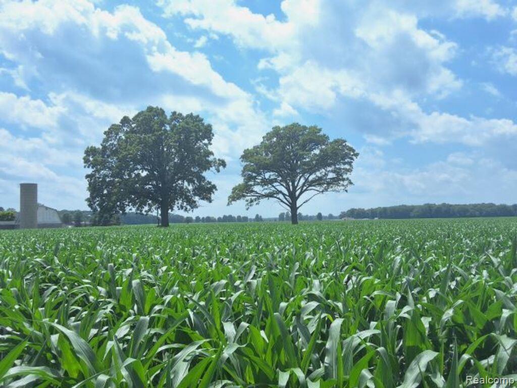 Auction Lot# 4 10 acres Dryden Road, Capac, MI 48014 — Photo 3