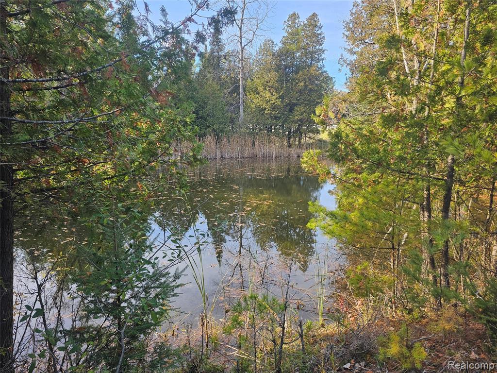 4901 M-55, Tawas City, MI 48763 — Photo 28