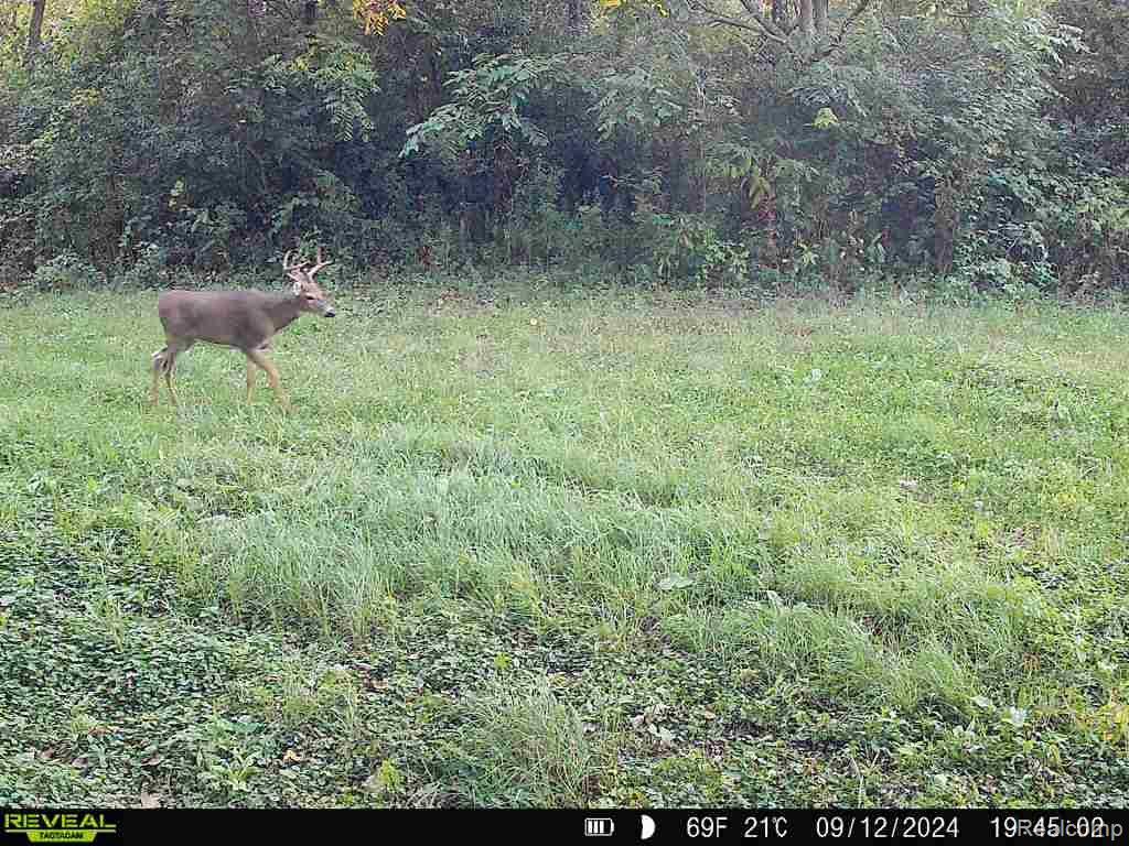 V/L BLAKE Road, Jackson, MI 49201 — Photo 94