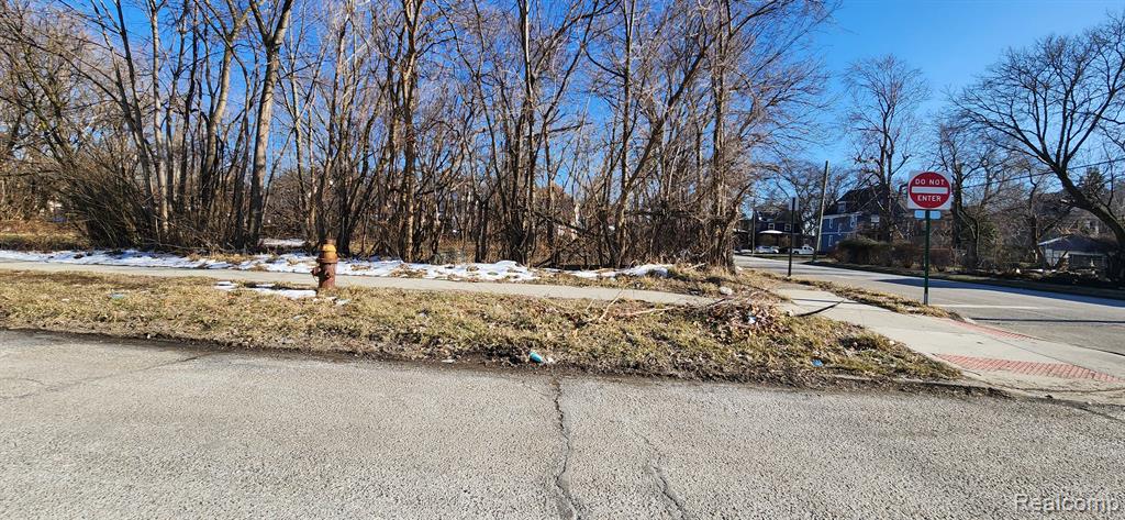 402 E EUCLID Street, Detroit, MI 48202 — Photo 4