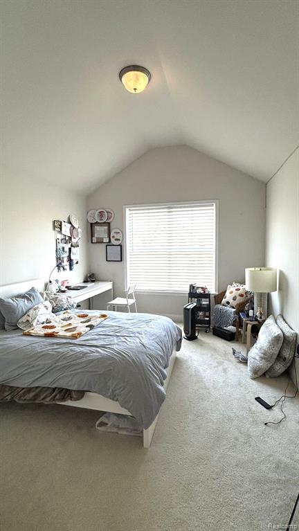 3207 BRACKLEY Drive, Ann Arbor, MI 48105 — Photo 24