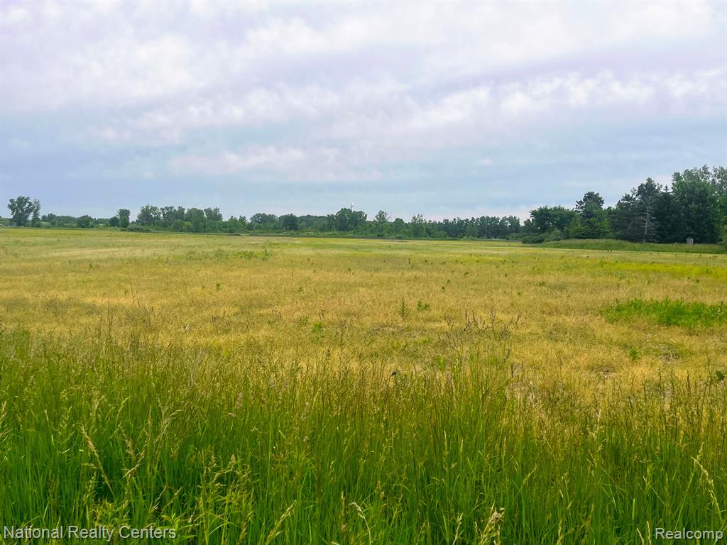 PARCEL H SHARRARD Road, Allenton, MI 48002 — Photo 3