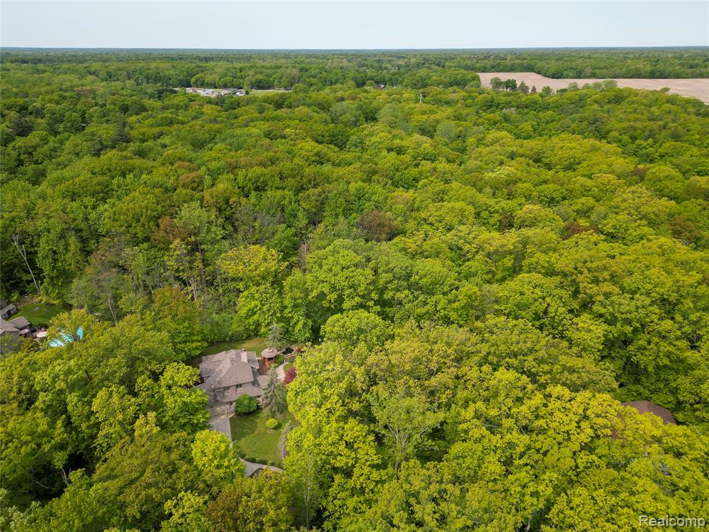 4800 Timberline Drive, Clyde, MI 48049 — Photo 39