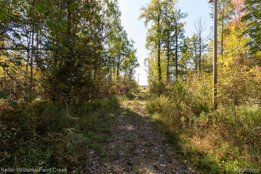 905 E M 61 Highway, Gladwin, MI 48624 — Photo 16