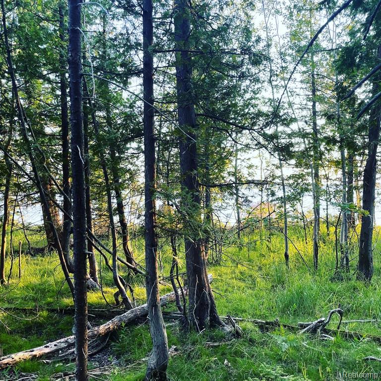 VL Grand Island, Presque Isle, MI 49777 — Photo 5