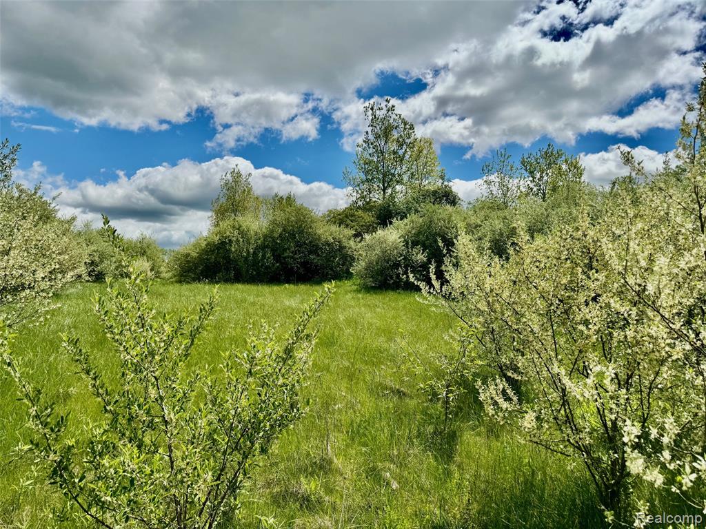 1058 INVITATIONAL Drive, Metamora, MI, 48455