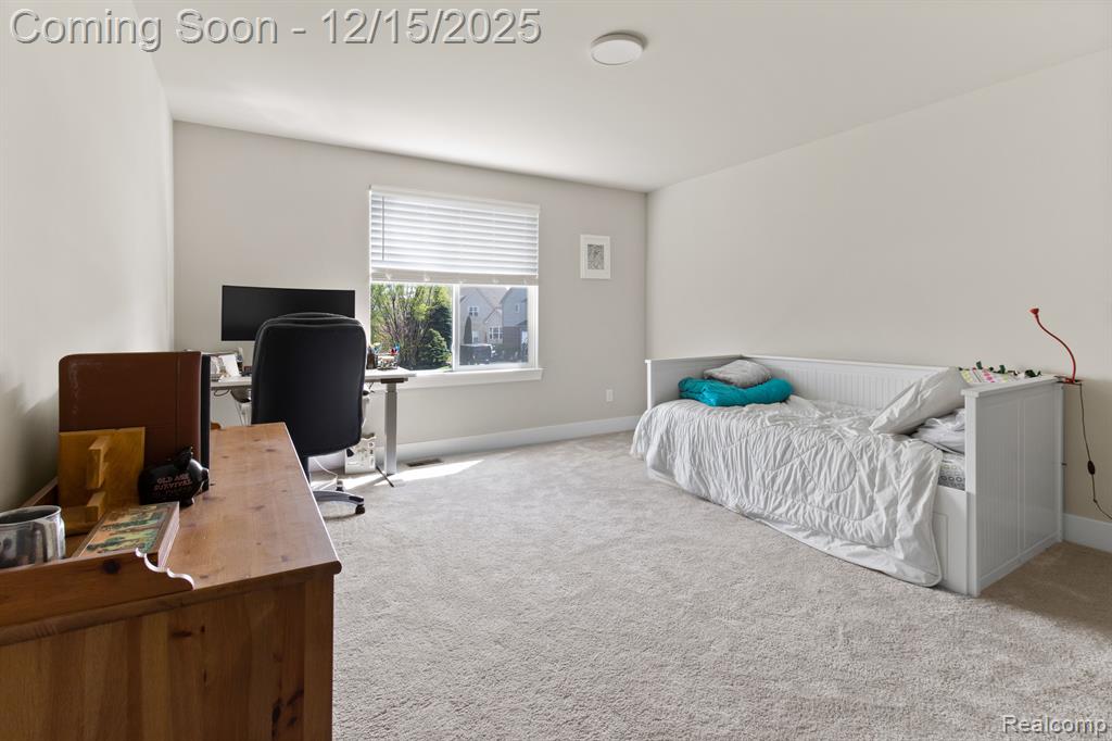 13819 Christina Lane, Van Buren, MI 48111 — Photo 31