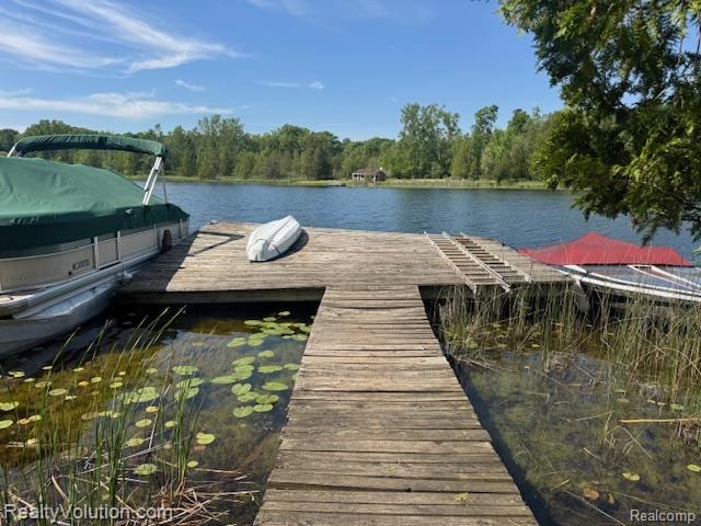 1702 Birch Road, Attica, MI 48412 — Photo 18