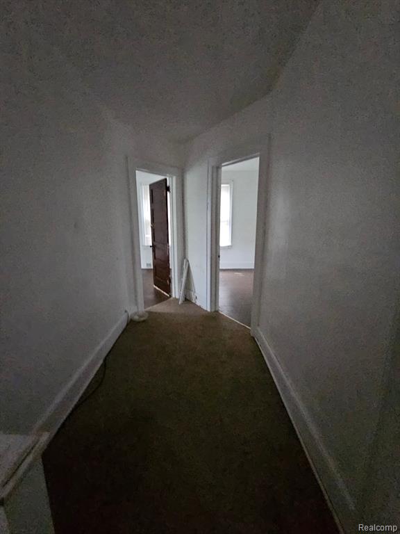 10126 WOODLAWN Street, Detroit, MI 48213 — Photo 19