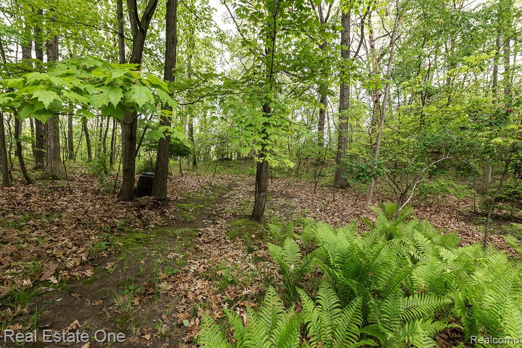 8444 CLIMBING Way, Pinckney, MI 48169 — Photo 9