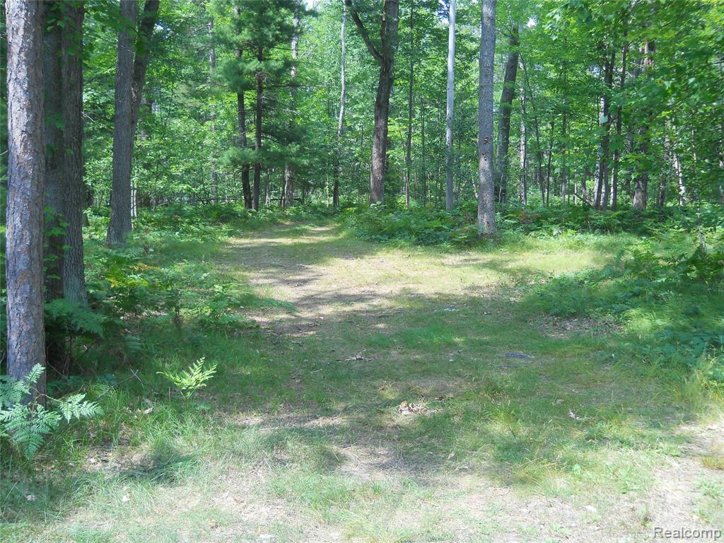 1185 E Hughes Lake Road, Rose City, MI 48654 — Photo 21