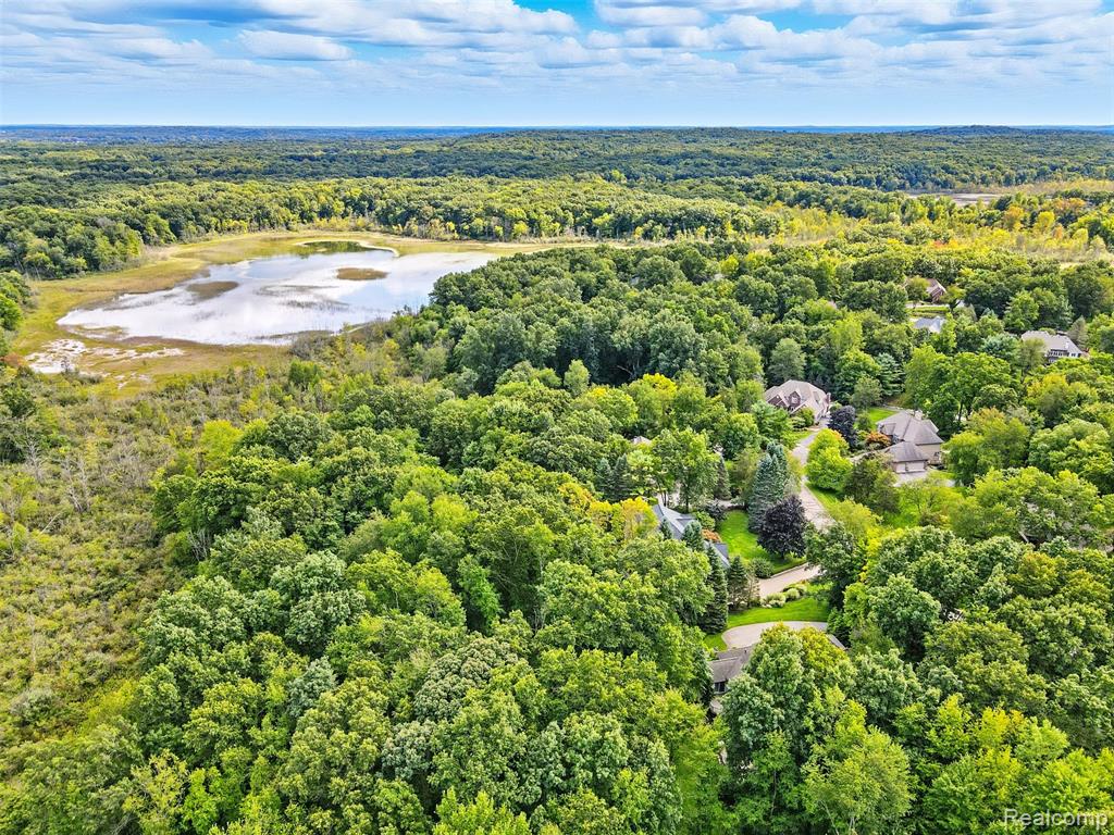 6228 Windemere Point, Brighton, MI 48116 — Photo 56