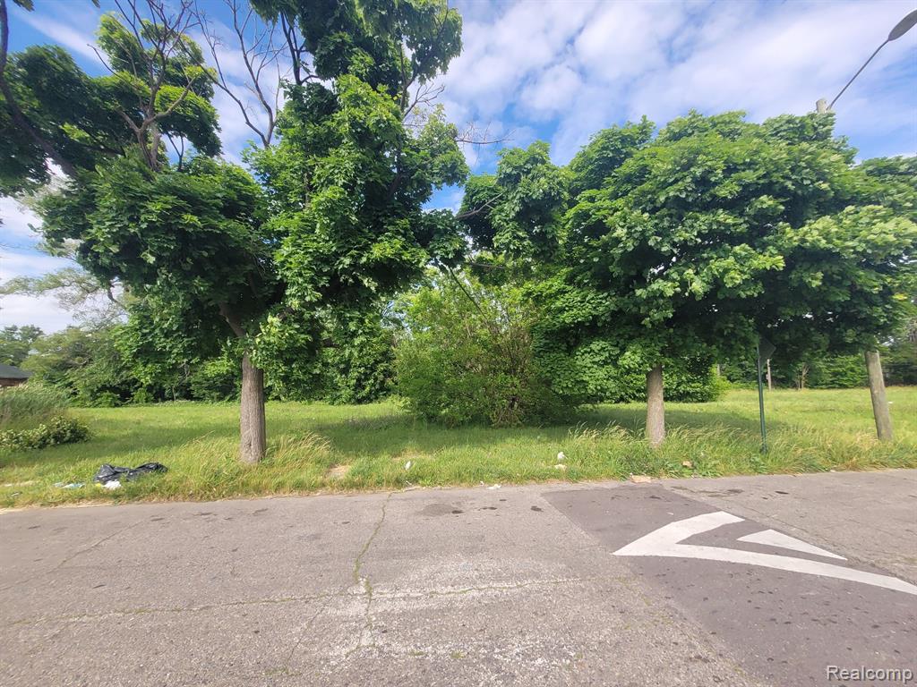 4804 SHERIDAN Street, Detroit, MI 48214 — Photo 4