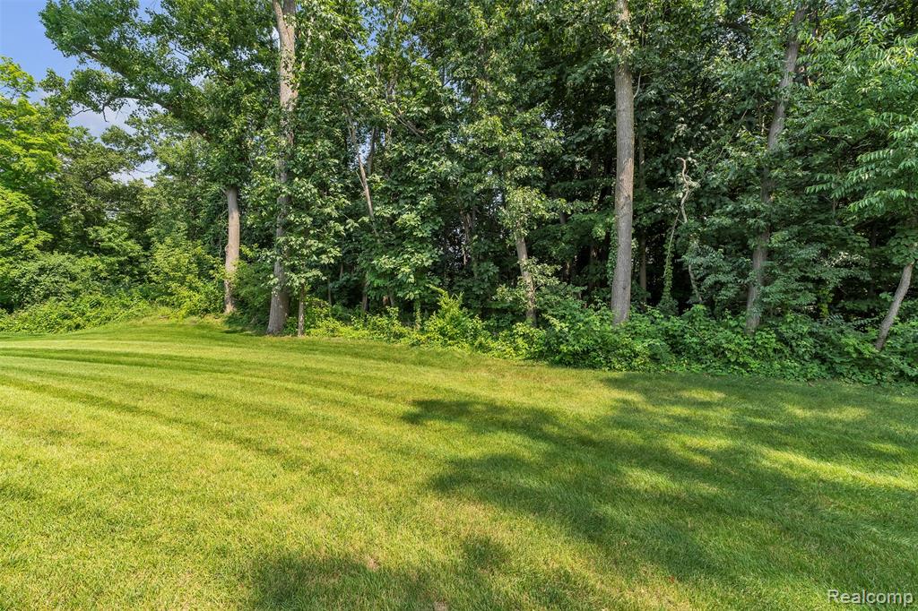 4633 CRESTWAY Drive, Brighton, MI 48116 — Photo 10
