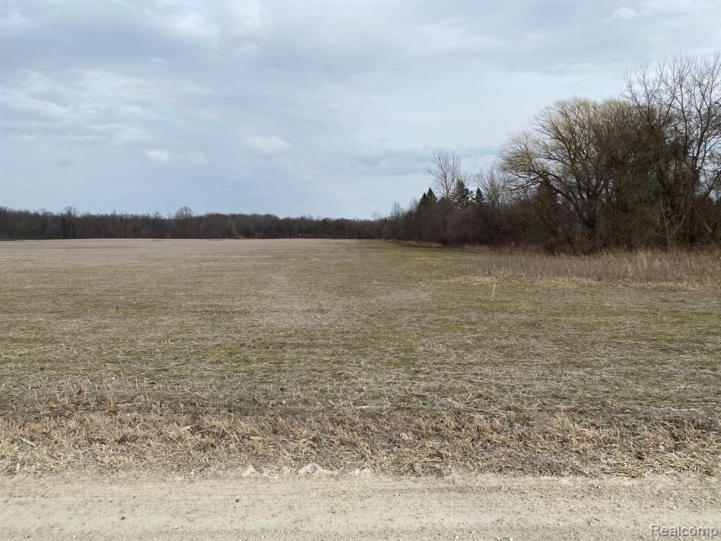 0002 HOWLAND Road, Almont, MI 48003 — Photo 20
