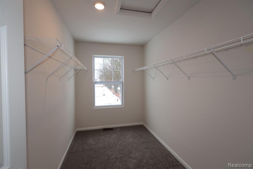 684 Countryside Drive, Chelsea, MI 48118 — Photo 5