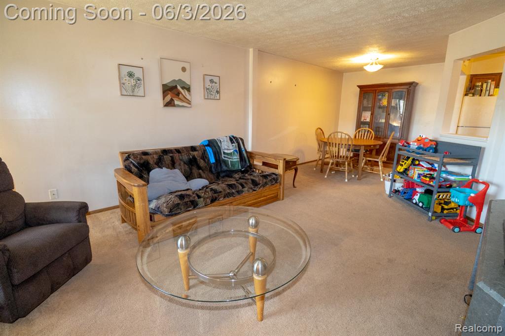 61200 Greenwood Drive, South Lyon, MI 48178 — Photo 8