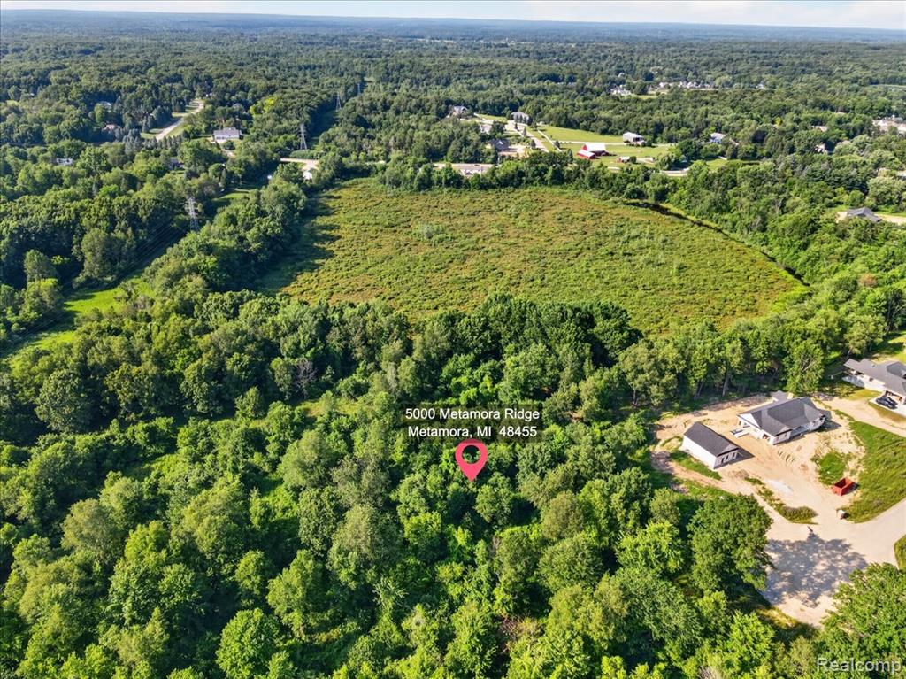 5000 Metamora Ridge, Metamora, MI 48455 — Photo 14