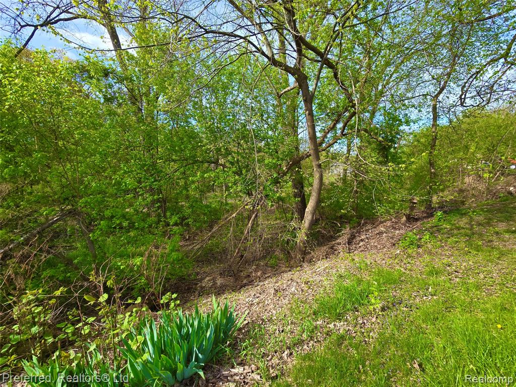 9691 Elizabeth Lake Road, White Lake, MI — Photo 4