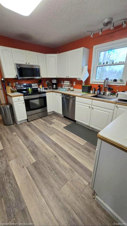 7880 NICHOLSON Road, Fowlerville, MI 48836 — Photo 3
