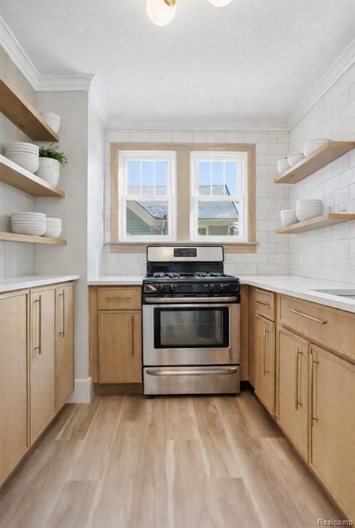 317 W Saint Clair Street, Romeo, MI 48065 — Photo 11