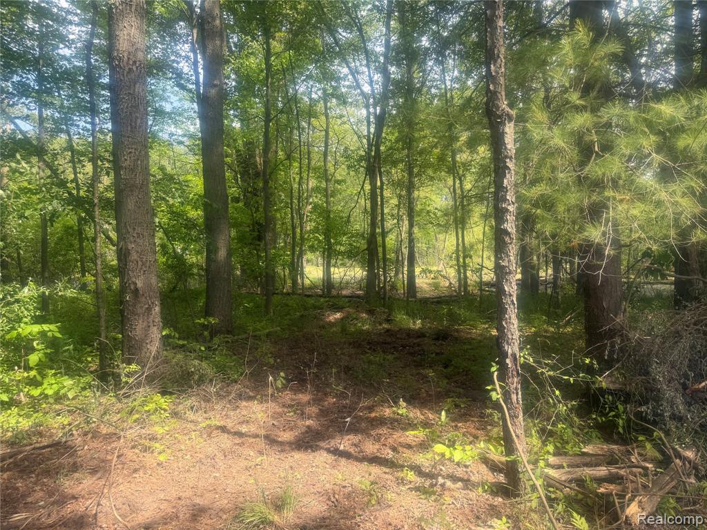 5716 Falkenbury Road, North Branch, MI 48461 — Photo 16