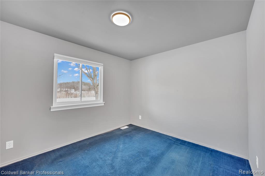 4331 Jones Road, North Branch, MI 48461 — Photo 18