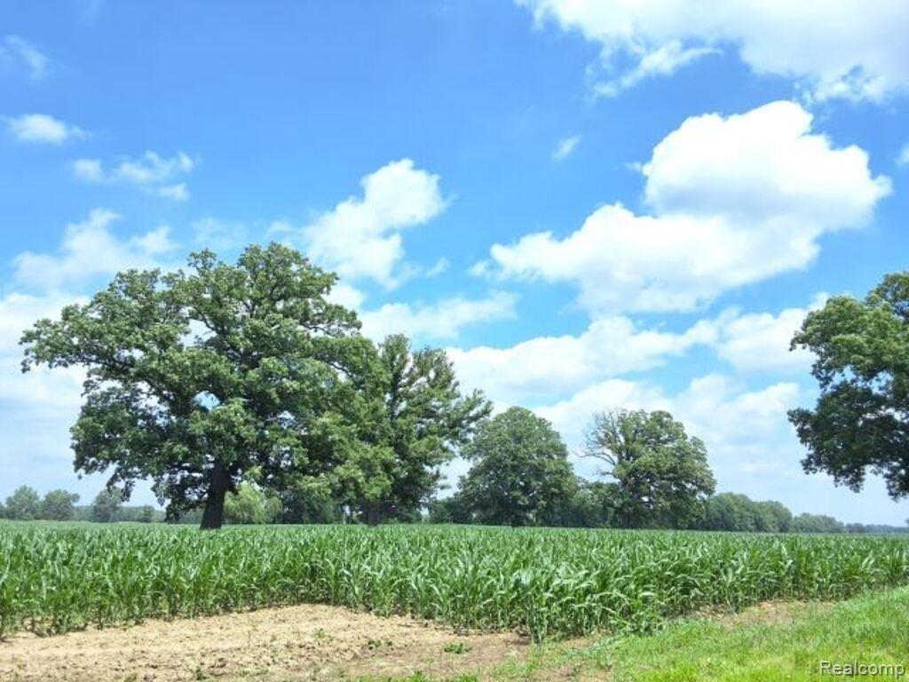 AUCTION Lot 94 acres Capac Road, Capac, MI 48014 — front exterior