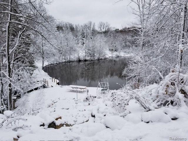 4693 Hegel Road, Goodrich Vlg, MI — Photo 53