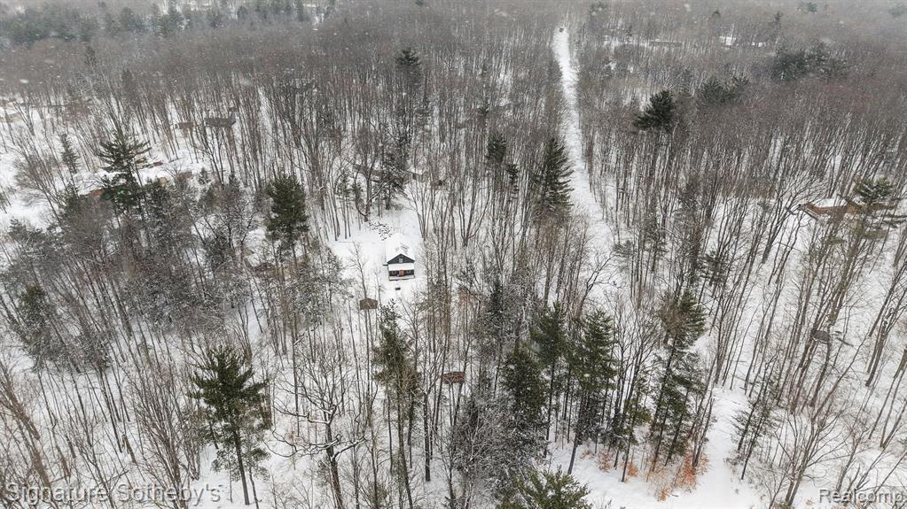 229 Forest Trail, Leroy, MI 49655 — Photo 27