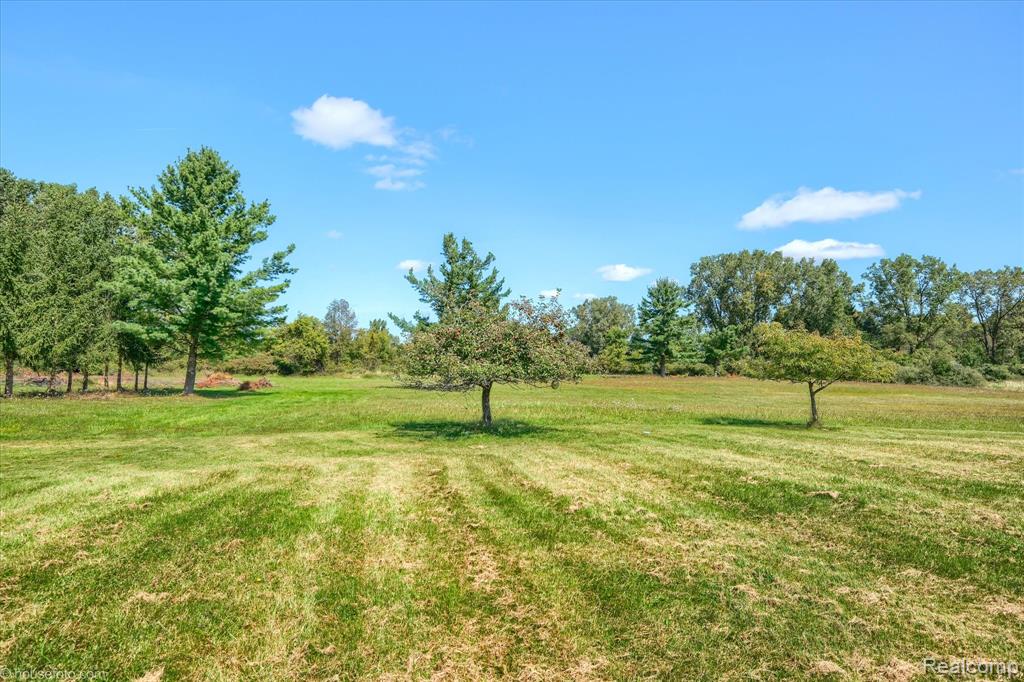 13566 Kaufman Road, Mussey, MI 48014 — Photo 42