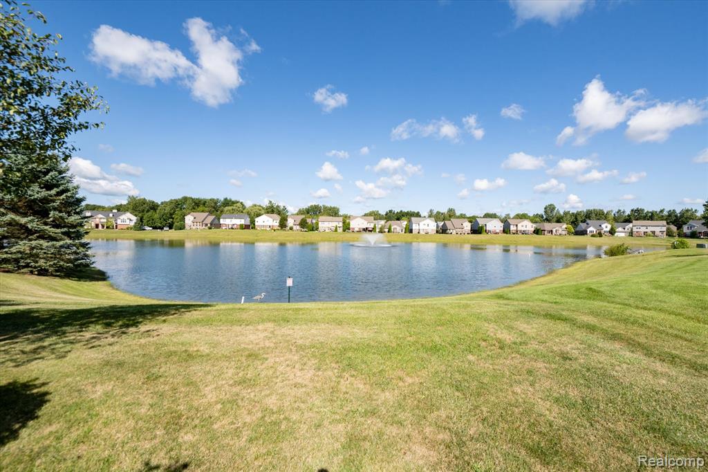 28256 Oakmonte Circle E, New Hudson, MI 48165 — Photo 5