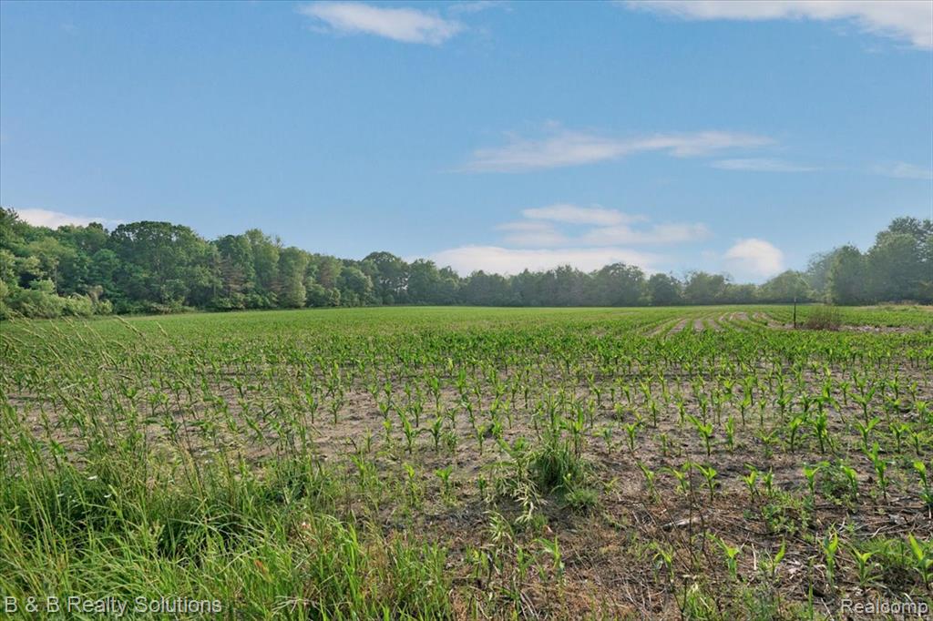 437 Angle Road, Lapeer, MI 48446 — Photo 31