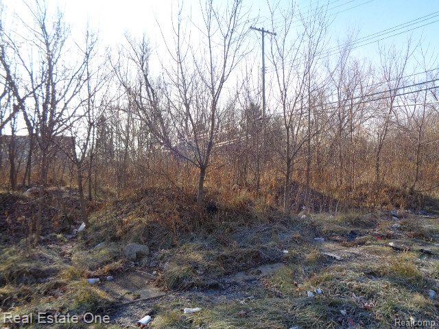 18088 PELKEY Street, Detroit, MI 48205 — Photo 13