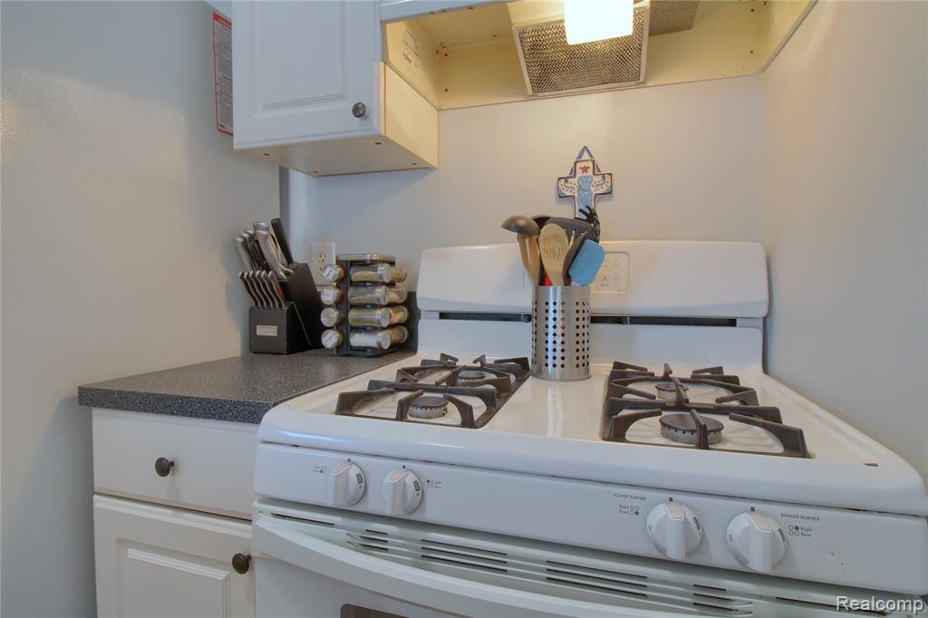 44503 N Umberland Circle, Canton, MI 48187 — Photo 13