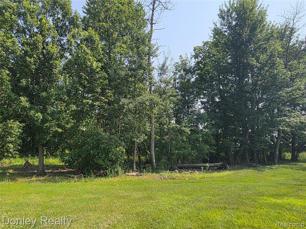 12923 Belle River Road, Riley, MI — Photo 69