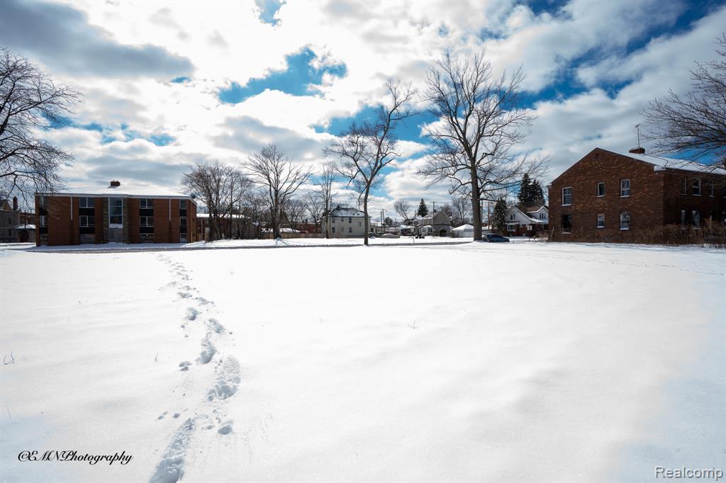 13523 Greiner Street, Detroit, MI 48205 — Photo 5