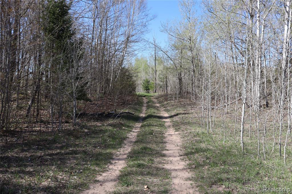 5575 E 26 Mile Road, Pickford, MI 49774 — Photo 32