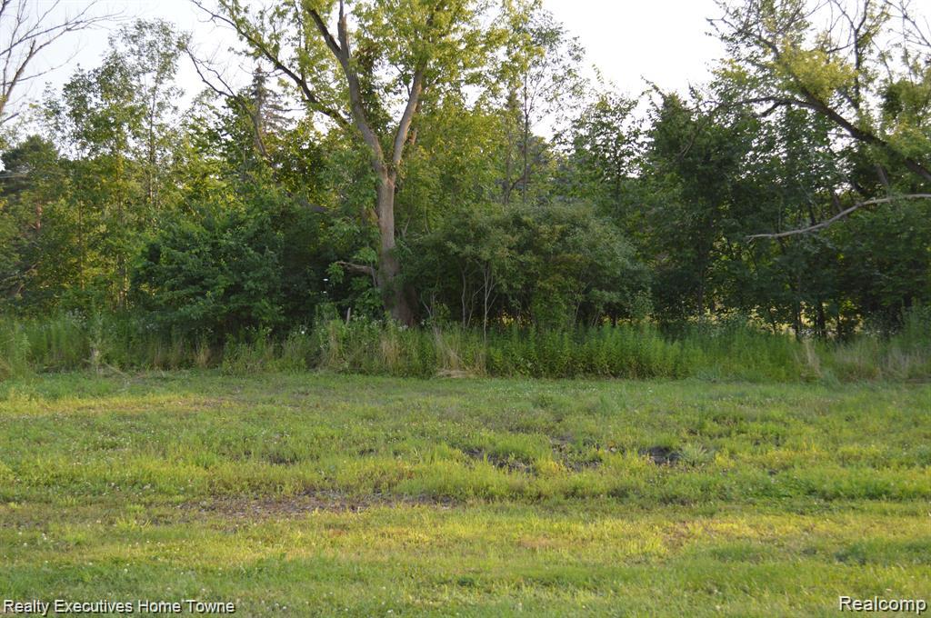 54620 Washington, Chesterfield, MI 48047 — Photo 7