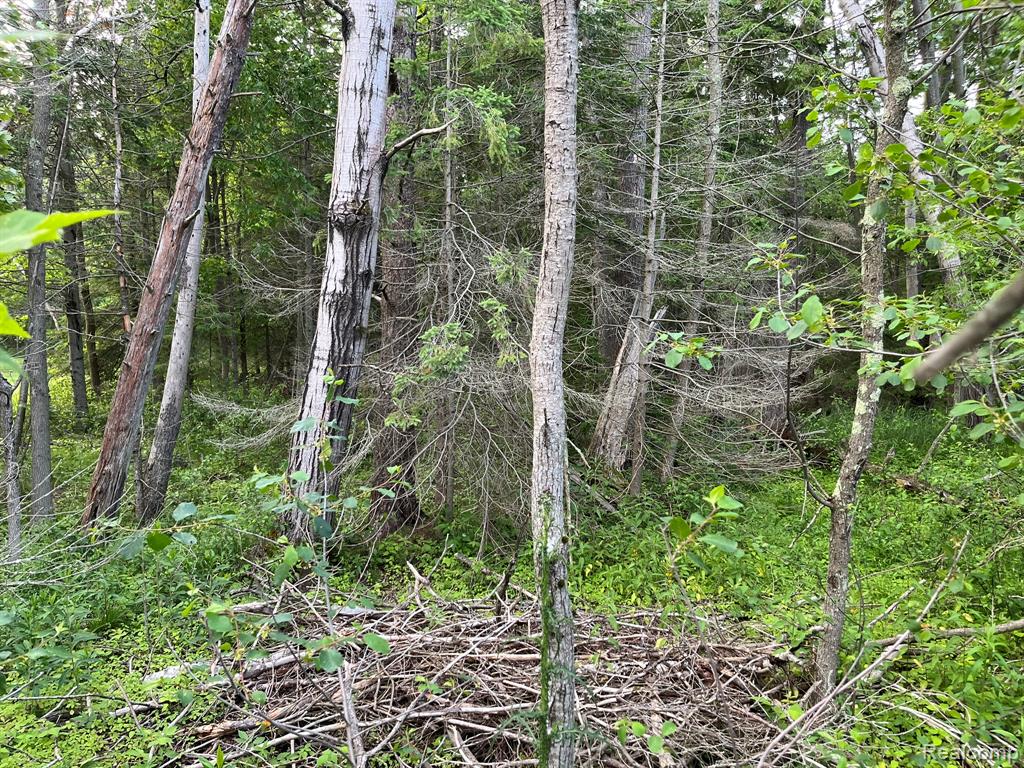 E4639 STATE HIGHWAY M35, Escanaba, MI 49829 — Photo 17