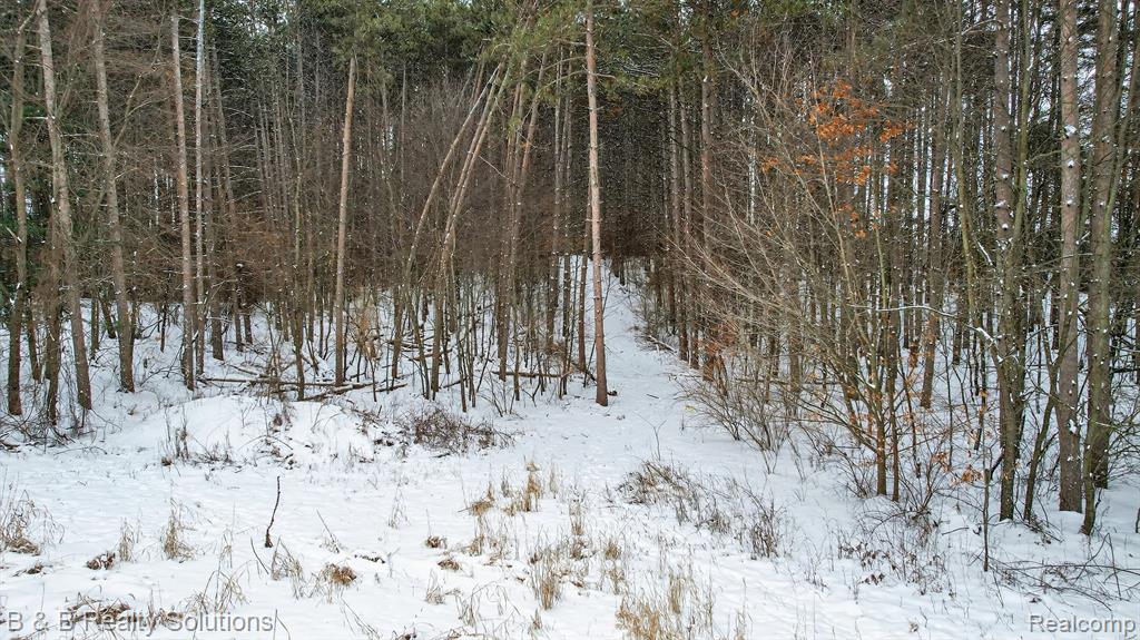 1441 Candace Drive, Lapeer, MI 48446 — Photo 8