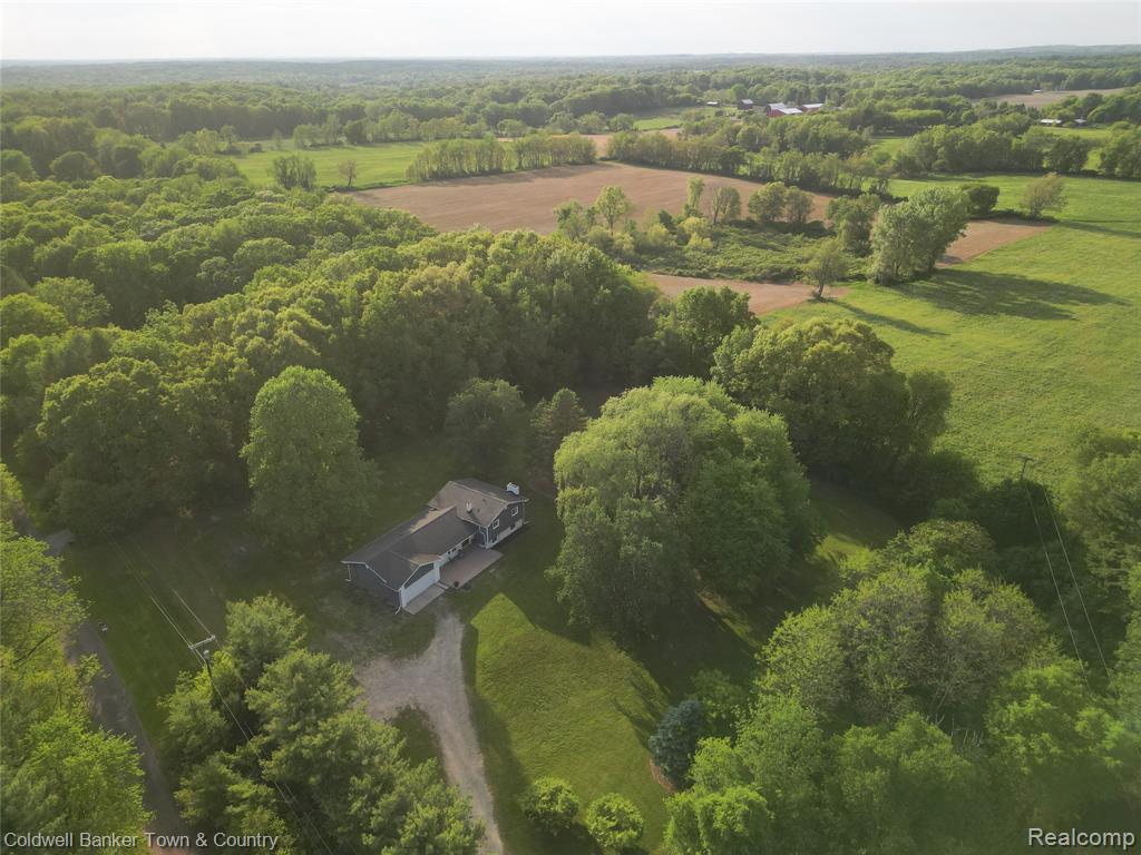 4225 N Tipsico Lake Road, Hartland, MI 48353 — Photo 6