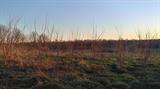 Photo for 1080 Faulkner Ln, Danville, KY 40422 - Listing #1928498 1080 Faulkner Ln, Danville, KY 40422