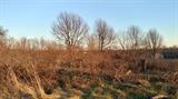 Photo for 1080 Faulkner Ln, Danville, KY 40422 - Listing #1928498 1080 Faulkner Ln, Danville, KY 40422