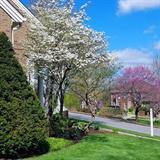 Photo for 85 Raleigh Ct, Danville, KY 40422 - Listing #20009446 85 Raleigh Ct, Danville, KY 40422